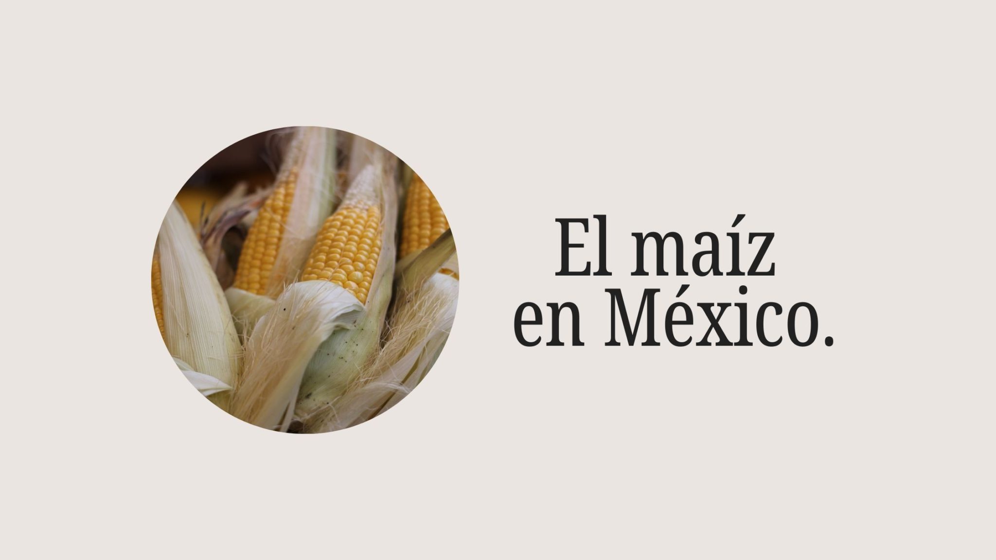 El maíz en México. - Culture & Language Center - Spanish Classes